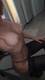 “Non serve altro…