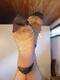 Private Photo of Laura_Panerai